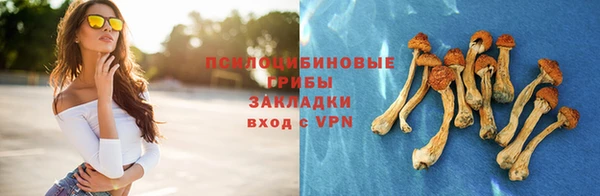 ALPHA PVP Дмитровск