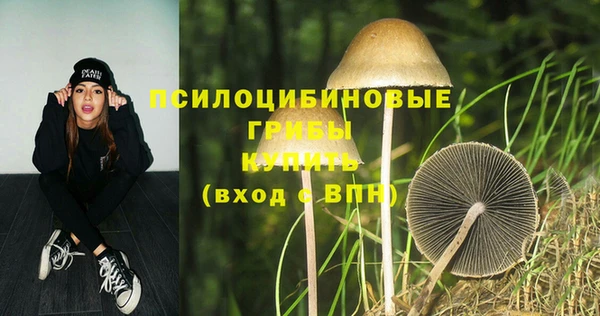 ALPHA PVP Дмитровск