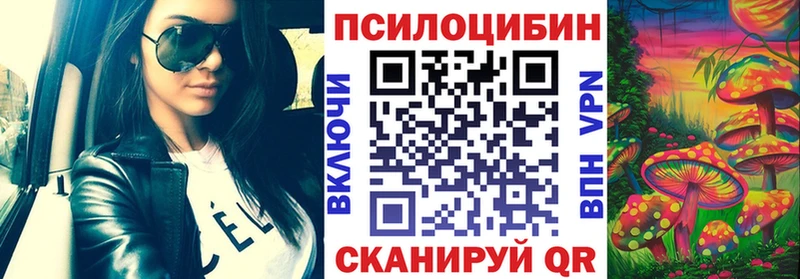 Галлюциногенные грибы мицелий  Купить закладки  Холмск 